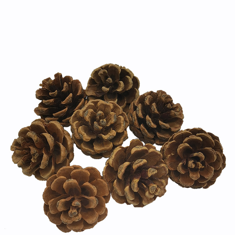 Natural pine cone Christmas decoration wood dried flower eternal flower dyed white pine cone diy accessories Christmas Fruit Wholesale
