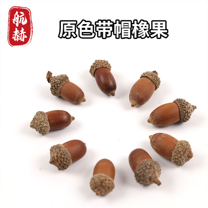 Натуральный желудь, скорлупа желудя, сушеные плоды, ландшафтные украшения, реквизит для съемок, оконные украшения, рождественские украшения, подвеска