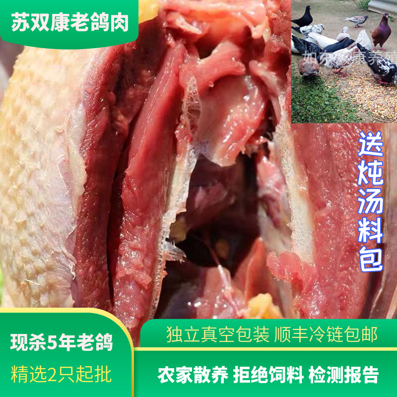 Su Shuangkang ® Old Pigeon Meat Soup, Farm-Raised Freshly Slaughtered Grass Pigeons, 5-Year-Old Large Meat Pigeons, Sf Chilled to Your Home
