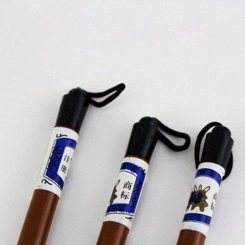 Brush wholesale primary school students Wolf Hao beginner and brush brush large, medium and small traditional Chinese painting special pen calligraphy suit