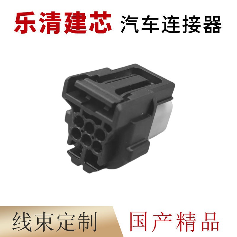 Domestic Dj7065Yc-0.6-11/21 Automotive Wiring Harness Connector Plug Connector 7289-9553-30