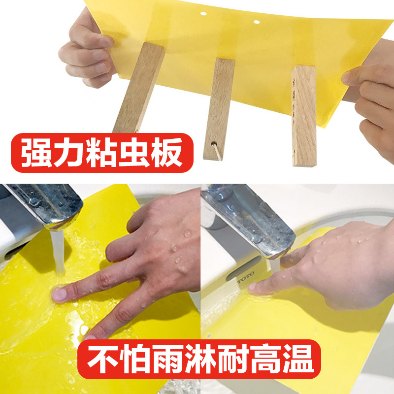 Yellow board double-sided sticky insect board special for greenhouse thrips small black feike star tea garden orchard garden garden flower trap fly board