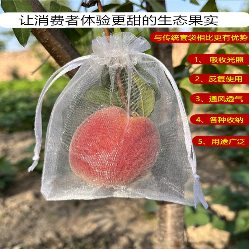 Fruit Anti-bird Anti-insect Mesh Bag Melon and Fruit Protection Bag Fig Loquat Grape Mesh Bag Peach Strawberry Protective Cover