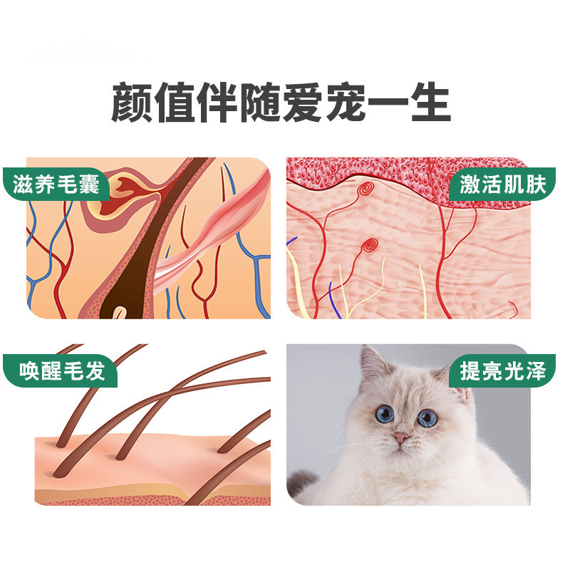 Bioline Pet Lecithin Spot Wholesale Soft Lecithin for Cats and Dogs Cross-Border Direct Supply