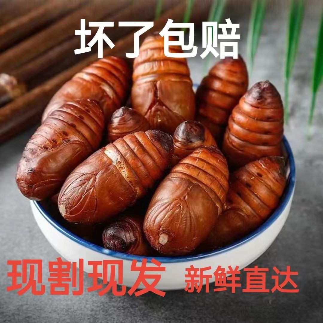 Northeast Specialty Live Silkworm Pupae, Large Yellow Silkworm Pupae, First-Grade Fresh Silkworm Pupae from Shandong Edible Ruiqi