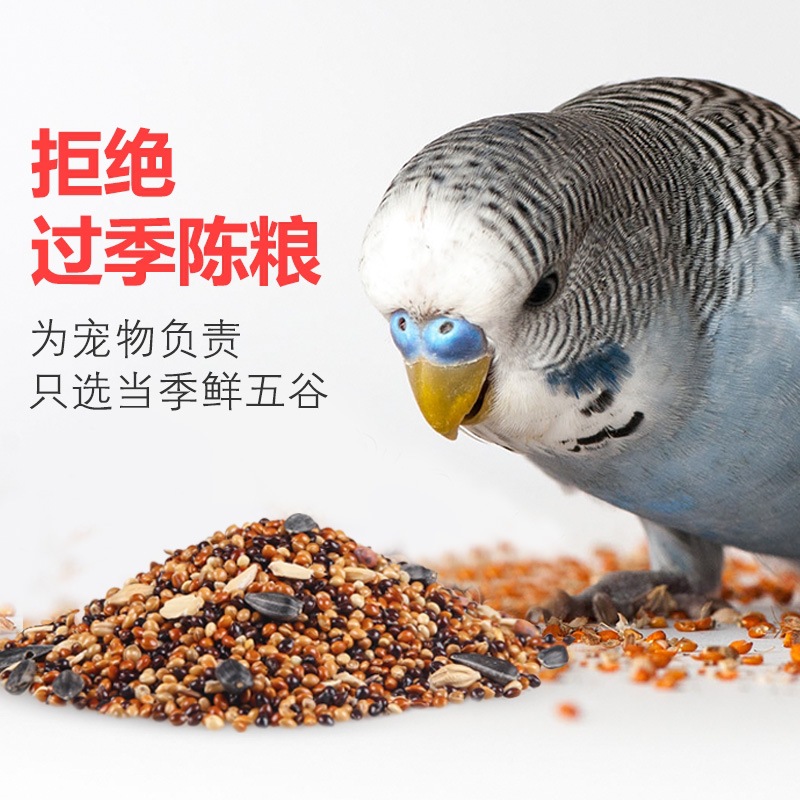 Parrot Feed Bird Food Tiger Skin Black Phoenix Peony Nutritional Mixed Grain Five-Color Millet Grain Bird Food