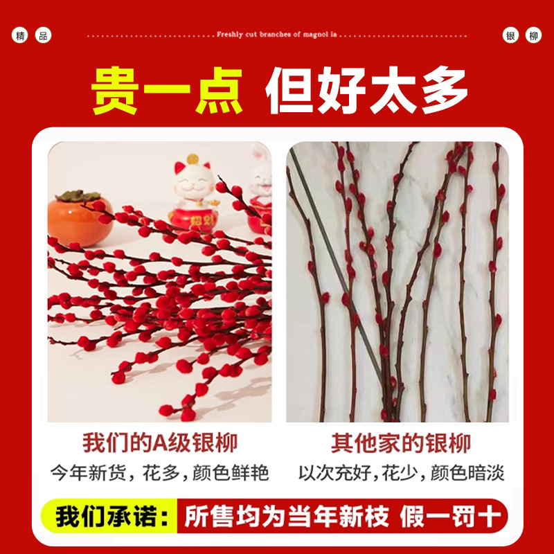 Factory Direct Sales E-Commerce Dropshipping Spring Festival New Year's Eve Florals Hydroponic Plants Fresh Branches Dried Florals Red Living Room Decoration Silver Willow