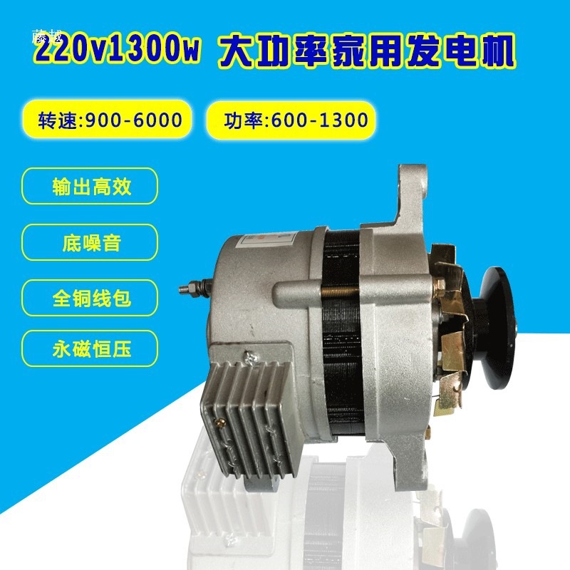 Brand New Small Permanent Magnet Brushless 48V220 Volt 1500 Watt High Power Household Lighting Alternator