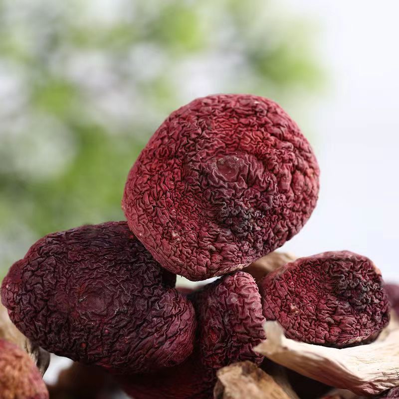 Wholesale of Dried Red Mushrooms, New Products Are Now Available in Large Quantities, Suitable for Postpartum Nourishment and Soup Ingredients, Red Mushrooms, Large Red Mushrooms
