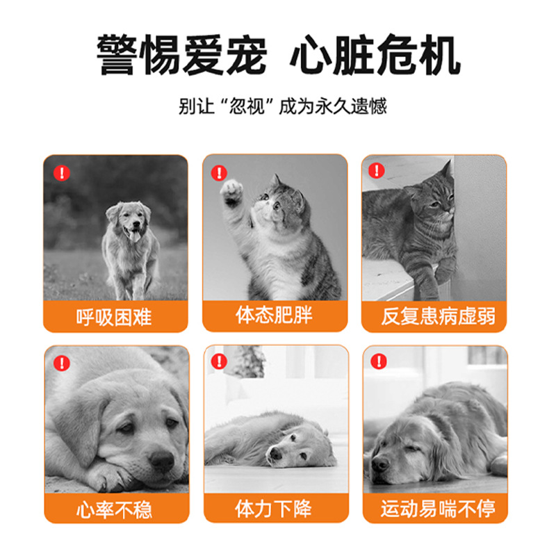 Oem Coenzyme Supplement Q10 Pet Health Nutrition for Cats and Dogs