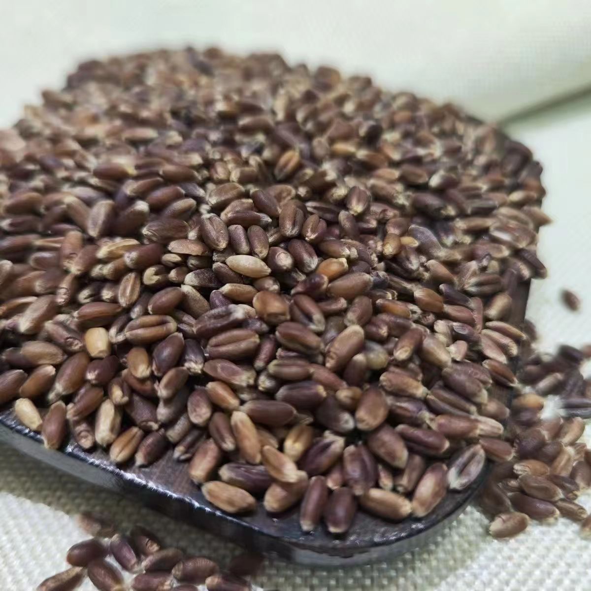 В сезон новый рожь и рожь, домашнее измельчение, каша, проращивание, цельные и грубые злаки в наличии, распределение от имени друг друга.