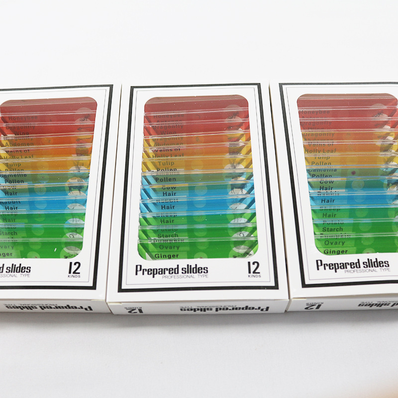 English label microscope accessories insect specimen a box of 12 pieces children's plastic biological specimen slices