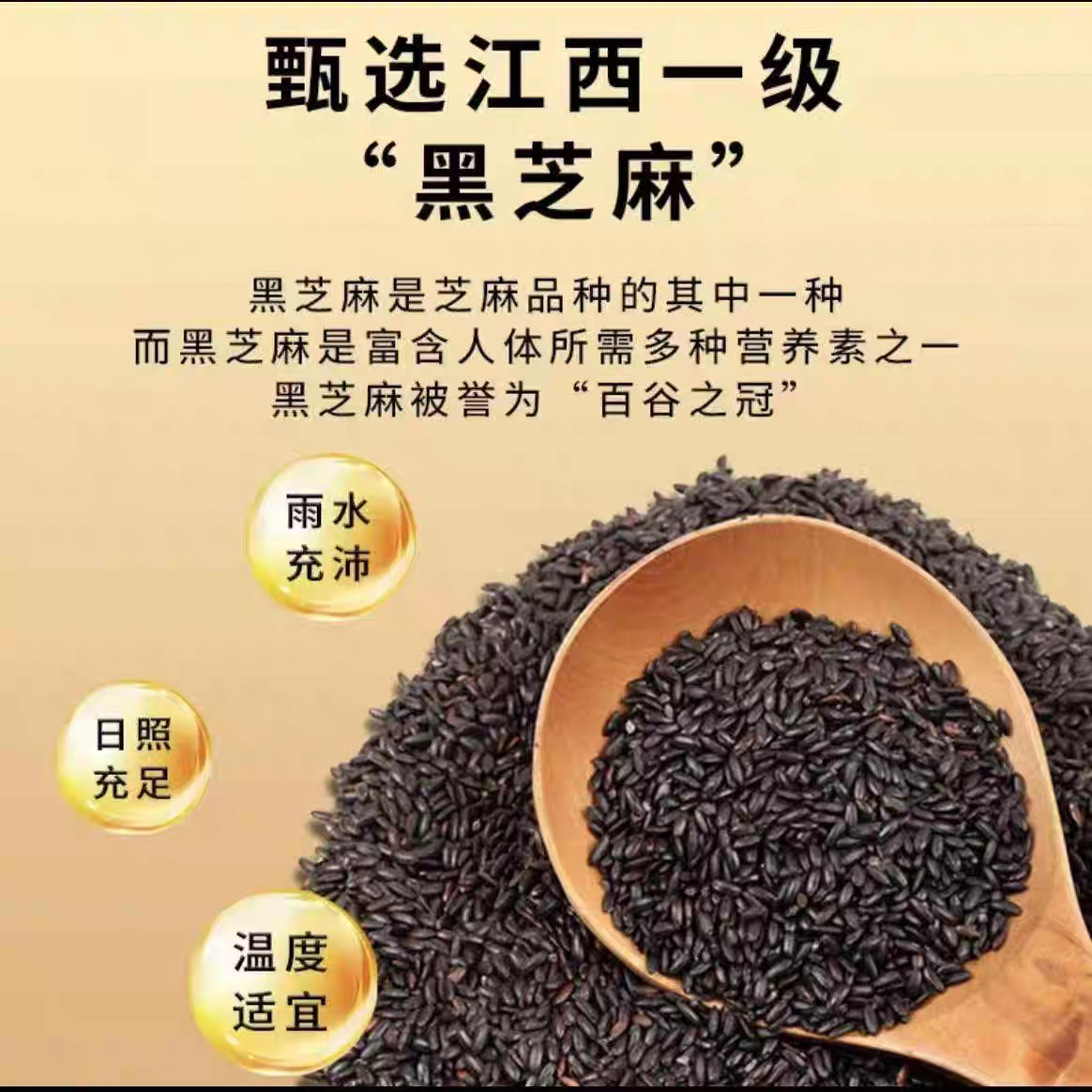 (Free Shipping) Nanjing Tongrentang Black Bazhen Powder Black Sesame Black Bean Black Wolfberry Mulberry Meal Replacement Dietary Nutritional Breakfast