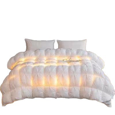 Down Quilt 95% White Goose down Winter Quilt Five-Star Hotel All-Cotton Feather Silk Quilt Thickened Warm Winter Quilt Core Manufacturer