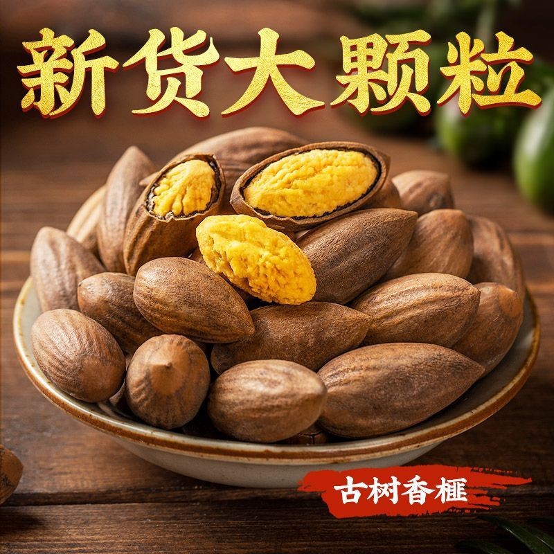 New Arrival Torreya Nuts Bulk Wholesale Torreya Fruit Snacks Factory Direct Sales Specialty Dried Fruits New Year Goods Dropshipping