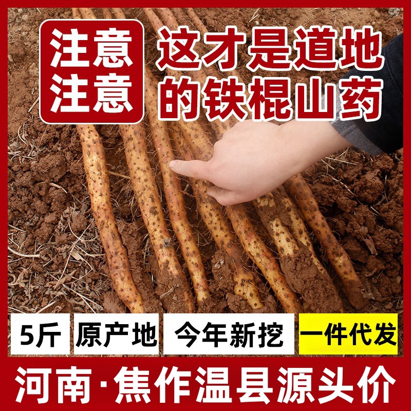 [Sf Express] Хэйлунцзян Цзяньчжоу Уэньсянь Земляное железо Ям 5кг Аутентичное железо Гуй Хуайшань Свежая Специальность