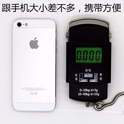 Portable Digital Scale 50kg Portable Hook Luggage Fishing Scale Small Cross-Border Spring High-Precision Manufacturer Food Scale