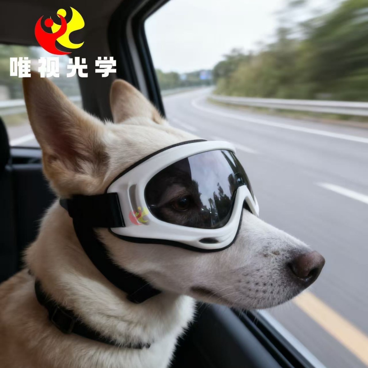 宠物狗狗墨镜边牧金毛柯基法斗缅因防风眼镜双绑带防脱落