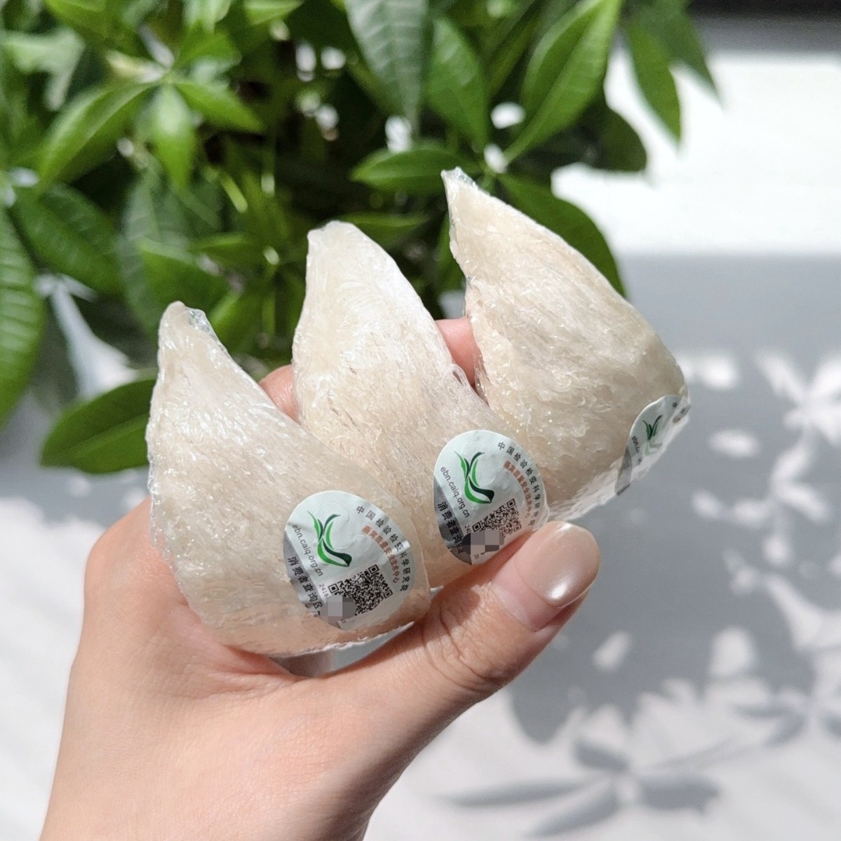 Indonesian International Traceability Code Dry Bird's Nest, Dried Bird's Nest Strips, Bird's Nest Fragments, Bird's Nest Horns, Dense Bird's Nest Gift Box for Pregnant Women, Fully Dried and Nourishing