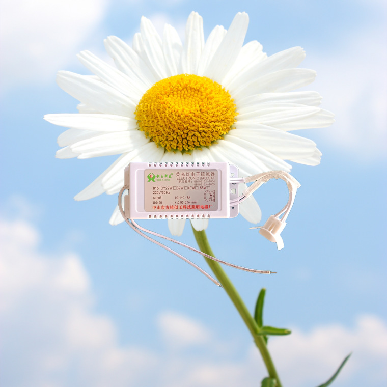 Factory wholesale ring tube electronic ballast 22W32W40W molded case ballast universal electronic ballast