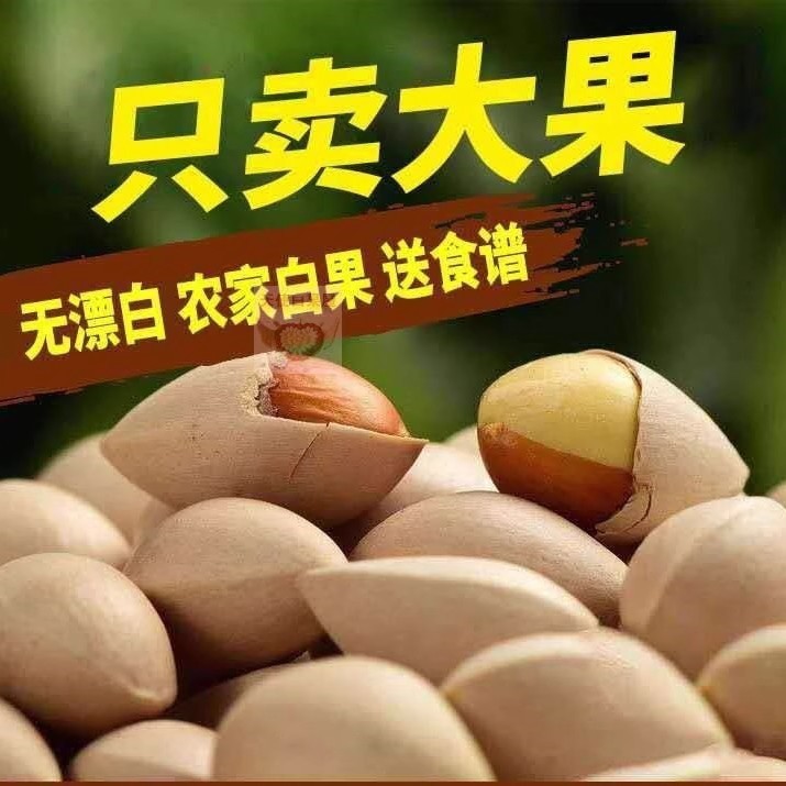 Собранные вручную свежие гинкго из ферм Тайчжоу, специальность Тайсина, 2025, сырые гинкго билоба