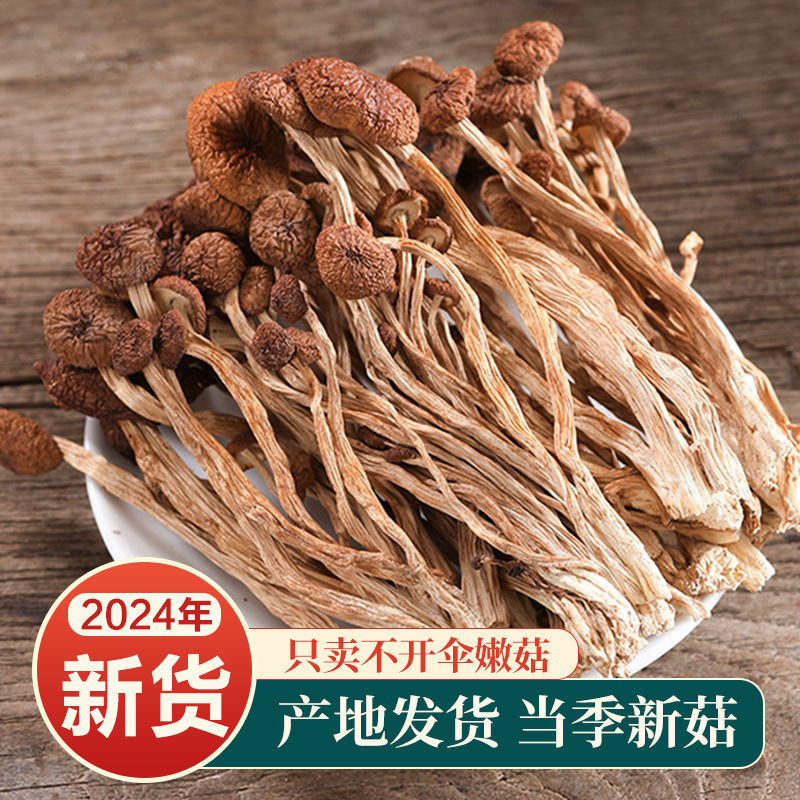 [No Desiccant] Dry Tea Tree Mushroom Wholesale 500g Gutian Dry Tea Tree Mushroom Vegetable Soup 20g