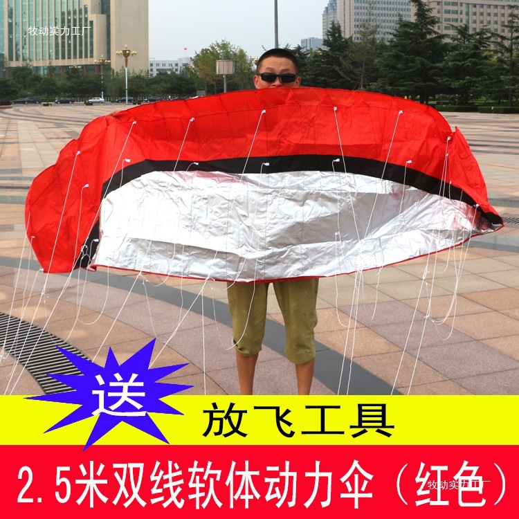 Double Line Soft Kite Stunt Sport Kite 2.5m Rainbow Umbrella Multi-Line Paraglider Kite Silk Flower