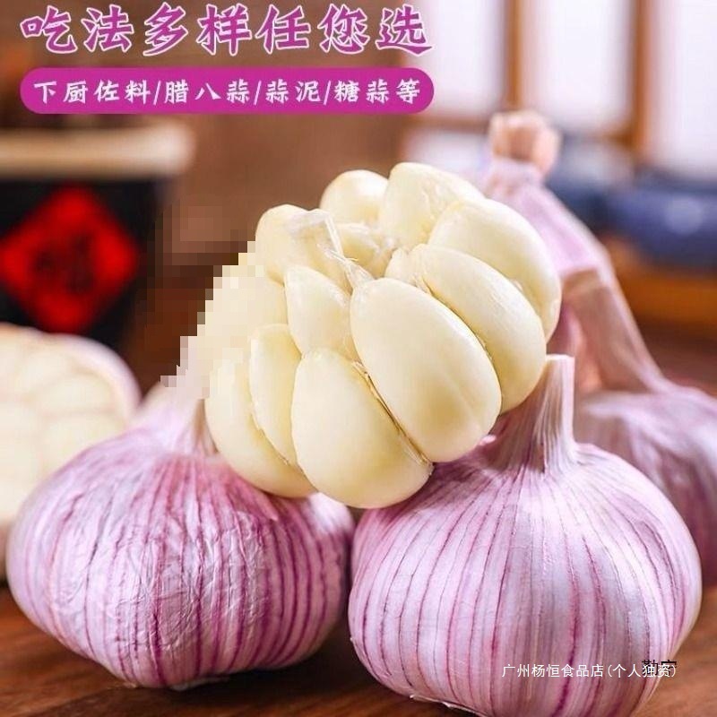 Garlic Headband Shandong Jinxiang Reduced Price Purple-Skinned Large Fresh Garlic Red-Skinned Dried Garlic Wholesale Mainland China