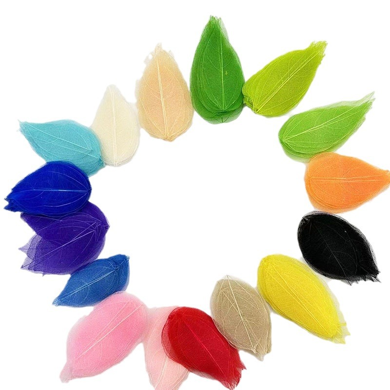 Natural King Kong Leaf Vein Creative Plant Leaves Dried Flower Specimen DIY Eternal Flower Leaves Bookmark Greeting Card Leaf Vein