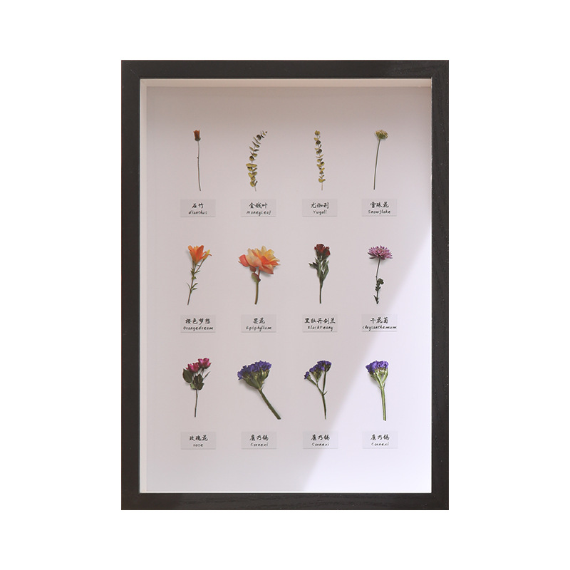 Hollow Photo Frame Customized Dried Flower Photo Frame Table High-End Insect Shell Building Blocks Butterfly Specimen Framed Picture Frame