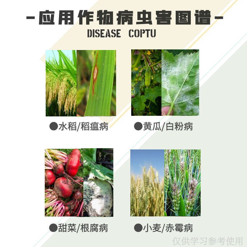 Bainongstar 50% Fumigant Vegetable and Flower Powdery Mildew Downy Mildew Root Rot Soil Disinfection and Sterilizer