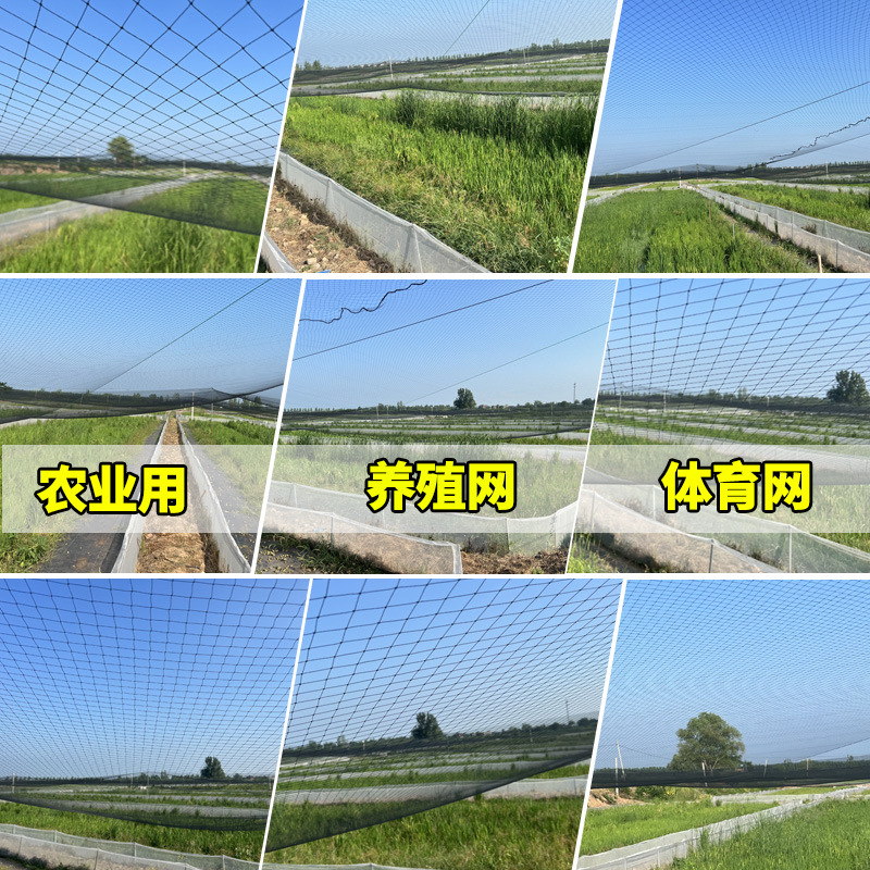 Black High-Quality Fishing Net, Poultry Breeding Net, Chicken Net, Sports Net, Agricultural Tennis Court Net, Export Nylon Net