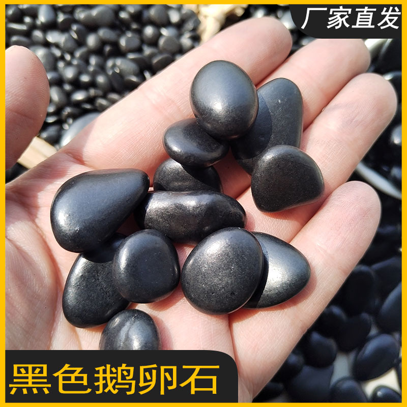 Black Finely Polished Rain Flower Stone Garden Landscaping Decoration Paving Stones Ready Supply Fine Polished Black Rain Flower Stone
