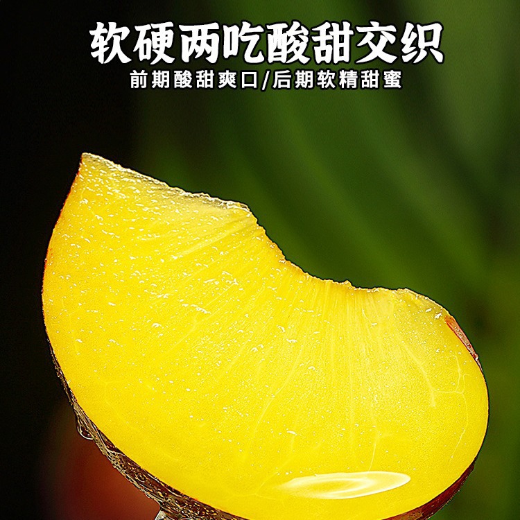 Yellow Meat Black Breed Plum 2.50kg Fresh Seasonal Black King Kong Dinosaur Eggs Crisp Plum Large Fruit for Pregnant Women Free Shipping 1
