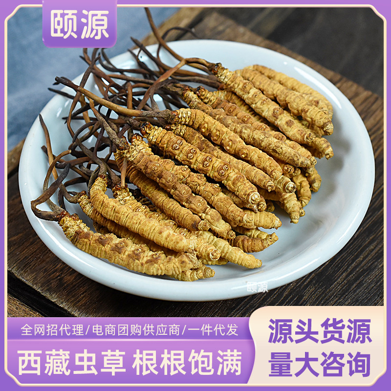 Сублимированный кордицепс синенсис, высокогорный, сушеный кордицепс, цельная несломанная трава, оптовая продажа по полным спецификациям