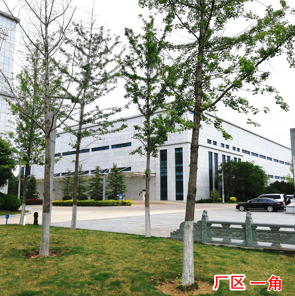 High Temperature Sterilized Russian Sweet Buckwheat Husk, Not Easy to Grow Insects in Non-Domestic Products, Beautiful Black Color, Clean and Dust-Free