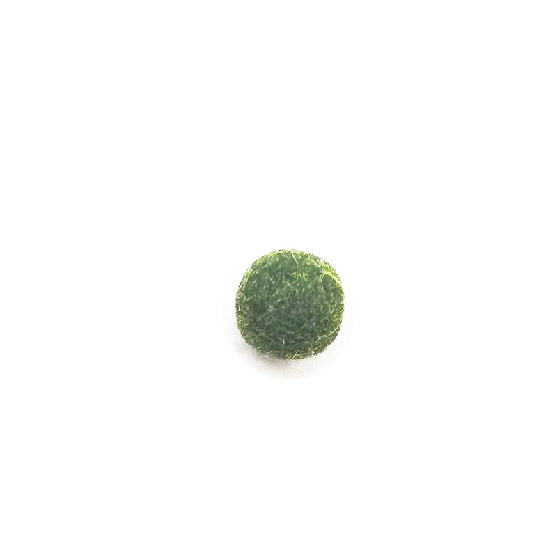 Happy seaweed ball marimo ecological bottle water culture ornamental living aquatic plants micro landscape marimo seaweed ball