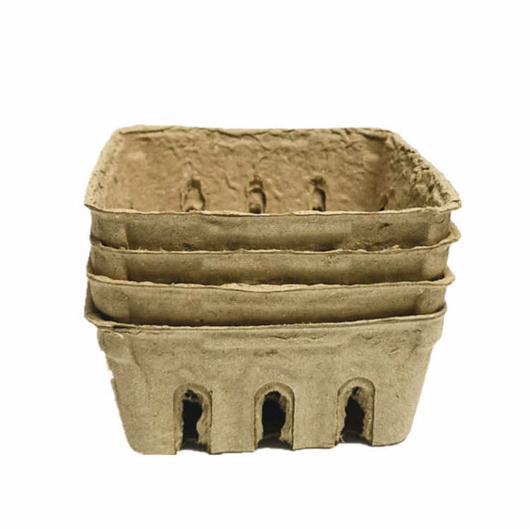 Biodegradable Fresh Food Tray Fruit Packaging Box Paper Plastic Packaging Fruit and Vegetable Box Blueberry Tray Pulp Fruit Tray