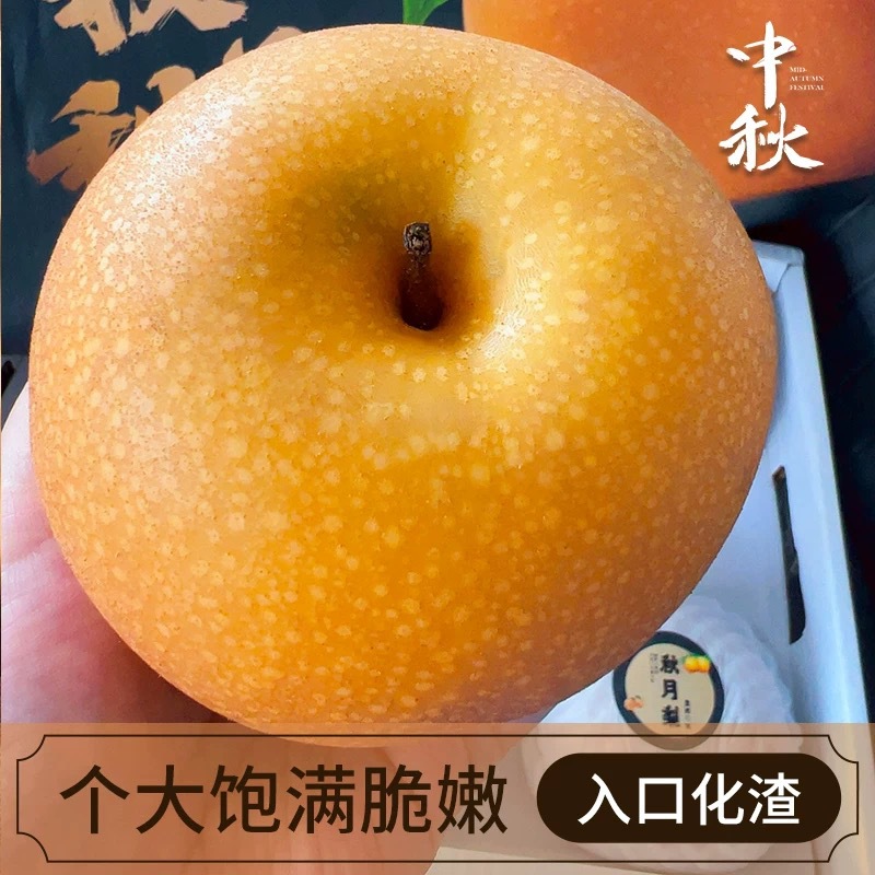 Shandong Nanshui Pears, Freshly Picked Seasonal Fruits, Direct from the Place of Origin, Yantai Specialty Large Fruit, Crispy, Sweet and Juicy Pears 5