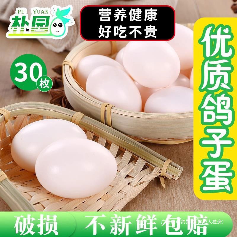 Pigeon Eggs, 15-60 Free-Range Pigeon Eggs Gift Box, Puyuan Large Wholesale