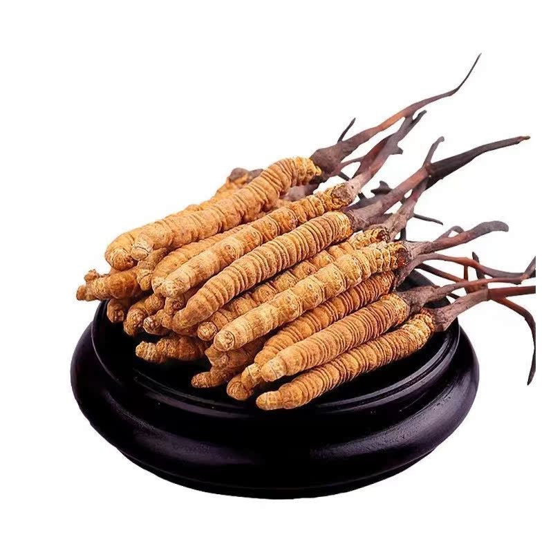 Xizang Nagqu Fresh Cordyceps Sun-Dried Cordyceps Sinensis Dried Goods Wholesale Wild Cordyceps Hay Gift Box Raw Cordyceps