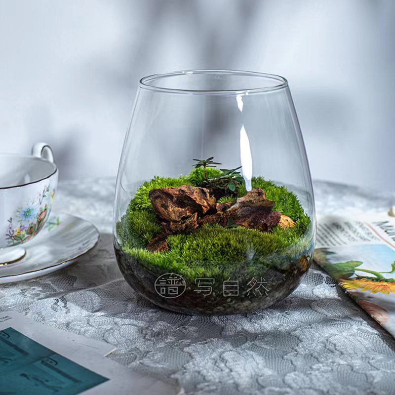 Бутылка из стекла для микро-ландшафта с мхом, креативные зеленые растения для офиса, DIY бутылка для ландшафта