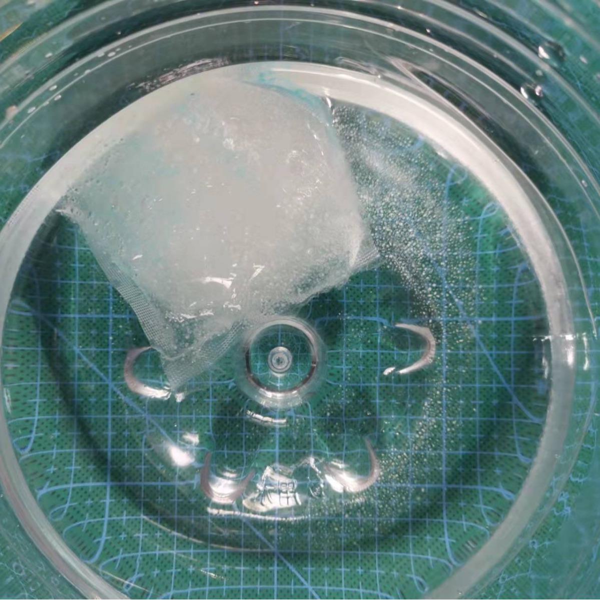 Portable Toilet Pee Coagulant Car Urinal Absorbent Powder Package Anti-Spill Leakage Curing Agent Medical Waste Liquid Coagulant