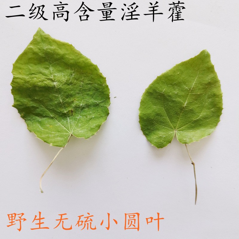 Wild Epimedium (Horny Goat Weed) with Small Round Leaves, Genuine Chinese Medicinal Herb, Produced in Gansu Longnan, Carefully Selected, Complete Range of Specifications, Available for Dropshipping
