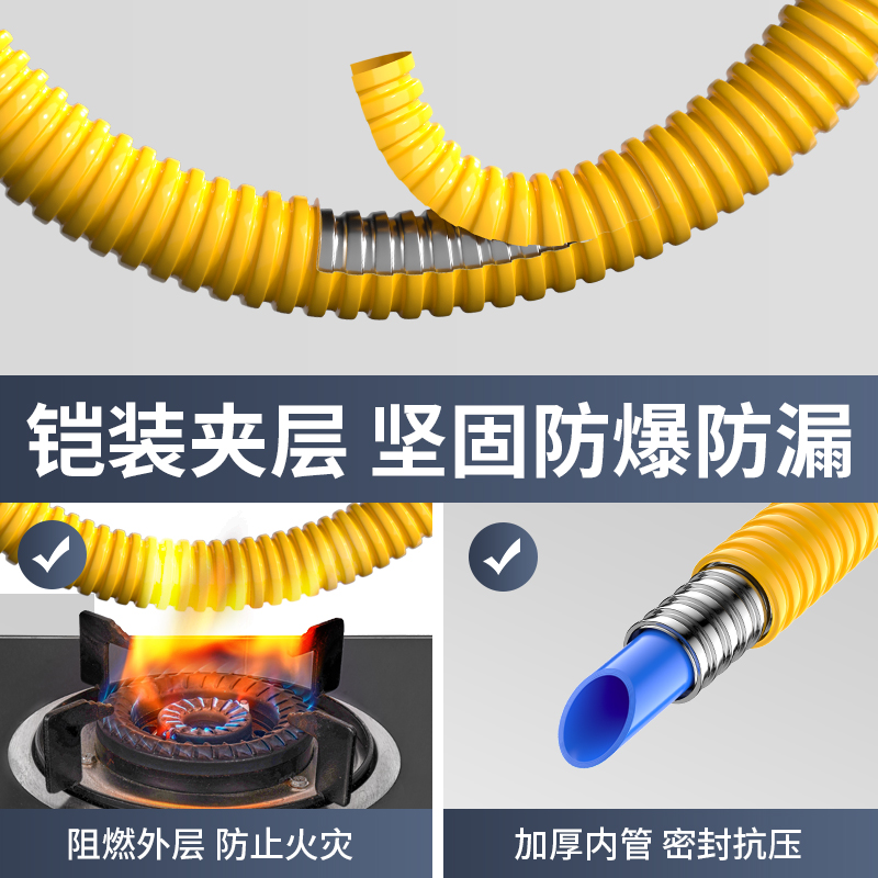 Household gas pipe gas pipe natural gas liquefied gas explosion-proof metal stainless steel bellows gas special hose