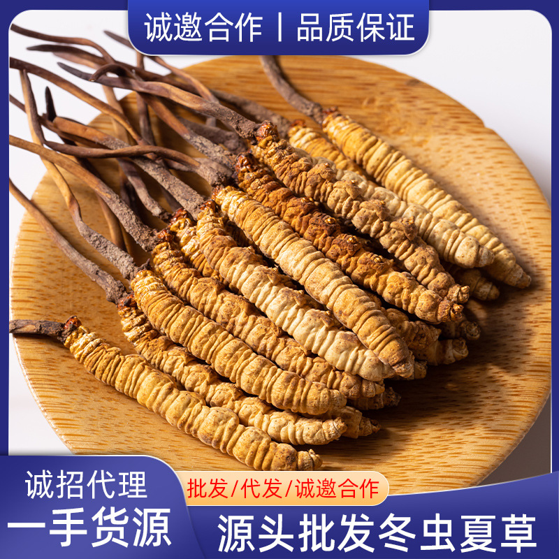Кордцепс синенсис, целая трава, лиофилизированный кордцепс, поломанная трава, оптовая продажа, большое количество, новые товары
