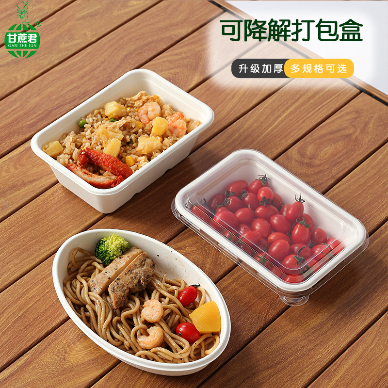 Disposable Sugarcane Pulp Tableware Degradable Square Box Packing Box Take-out Picnic Salad Pulp Lunch Box Lunch Box