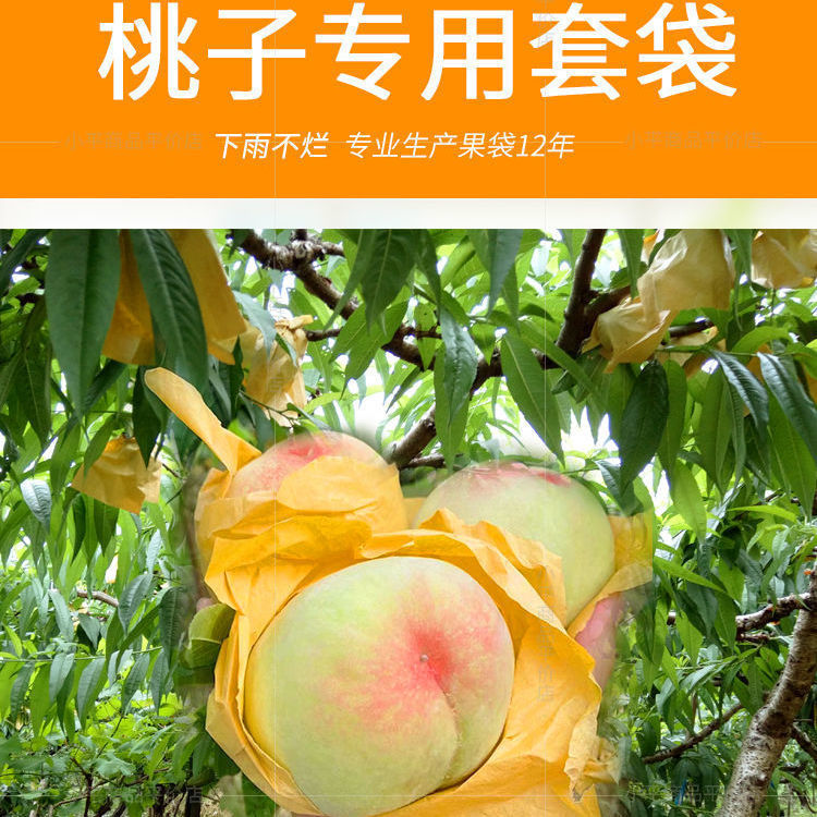 Fruit Bag Wholesale Set Loquat Set Pear Set Peach Set Citrus Set Pomelo Lemon Factory Direct Sales Insect-Proof Tree Bagging