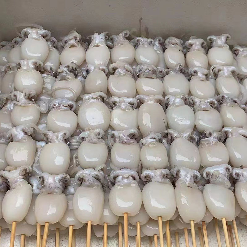 [Haiqi] Bbq Ingredients, Iron Plate Skewers Collection, Octopus Tentacle Skewers, Frozen Octopus Skewers, Factory Direct Sales for Commercial Use