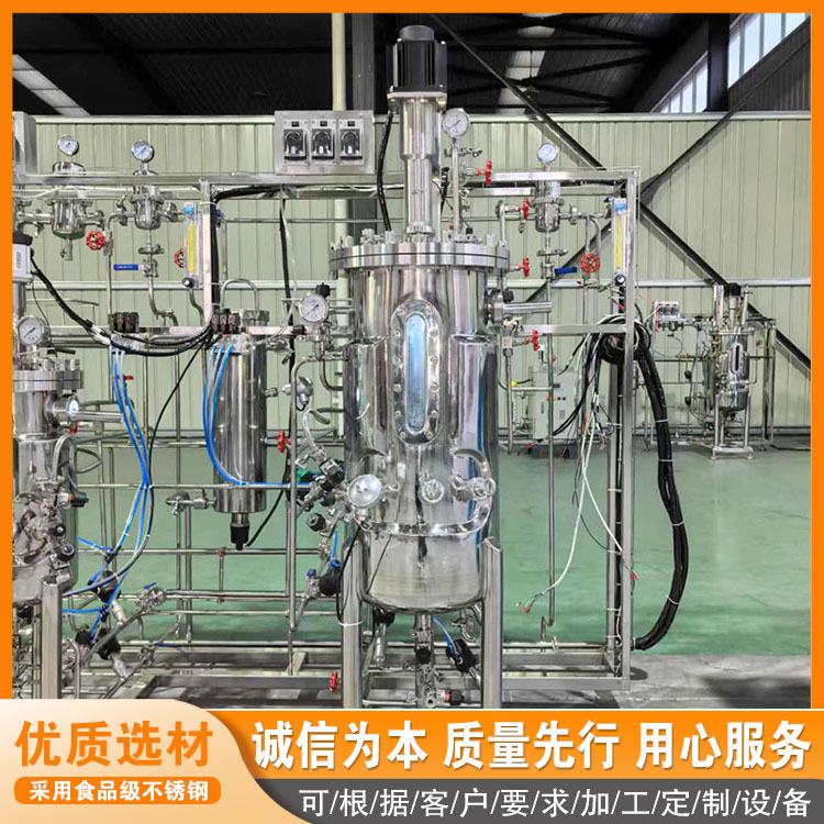 Лабораторное биологическое ферментационное оборудование 50L Ruisheng, малый ферментационный бак, бак для культуры семян ботритиса